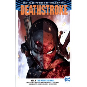 Deathstroke Vol 1 The Professional